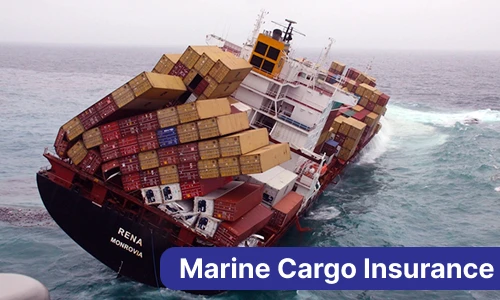 Marine Cargo Insurance
