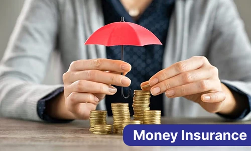 Money Insurance